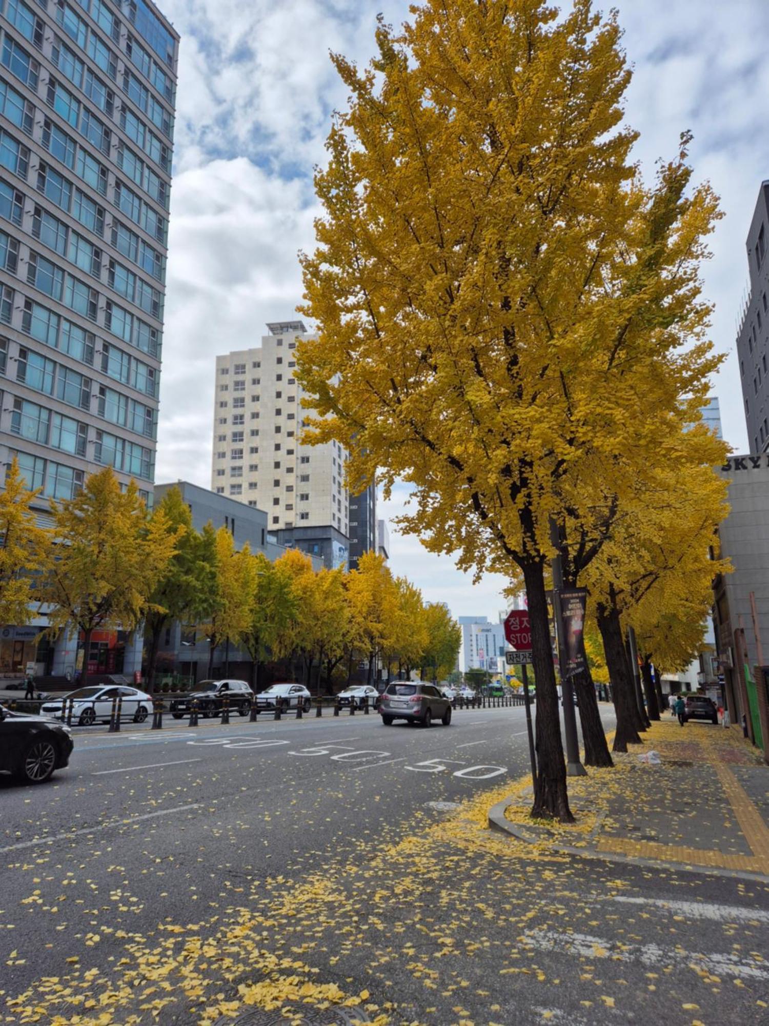 Let'S Stay Seoul Exterior photo